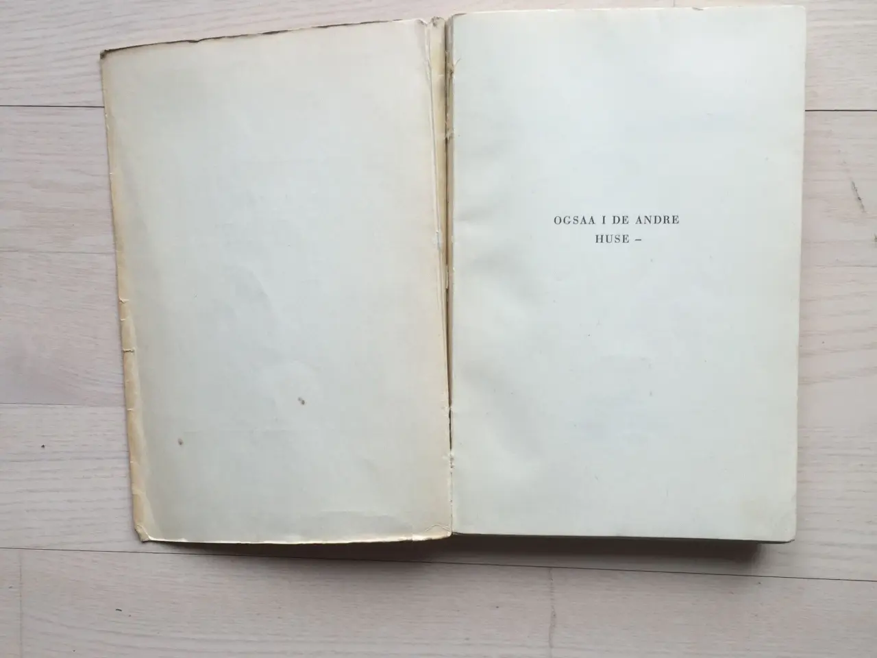 Billede 3 - Ogsaa i de andre huse -