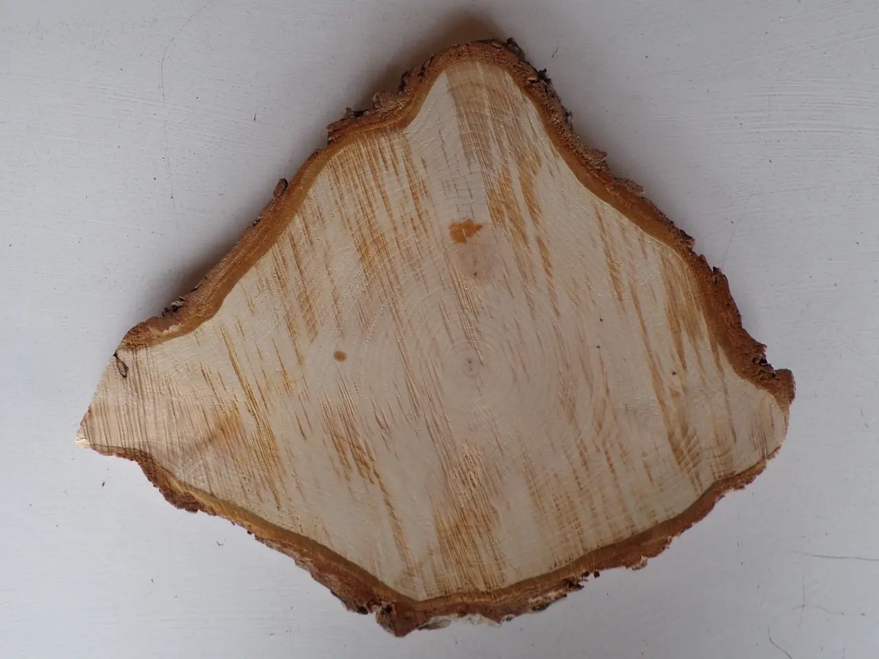 Billede 1 - Thuja Træskive med bark - 32x28,5