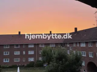 Hjembytte - Håndværkerhaven