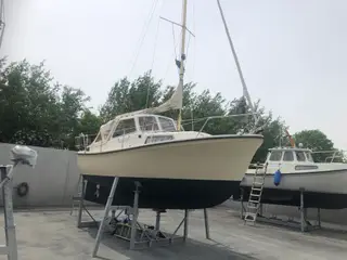 Winga 25