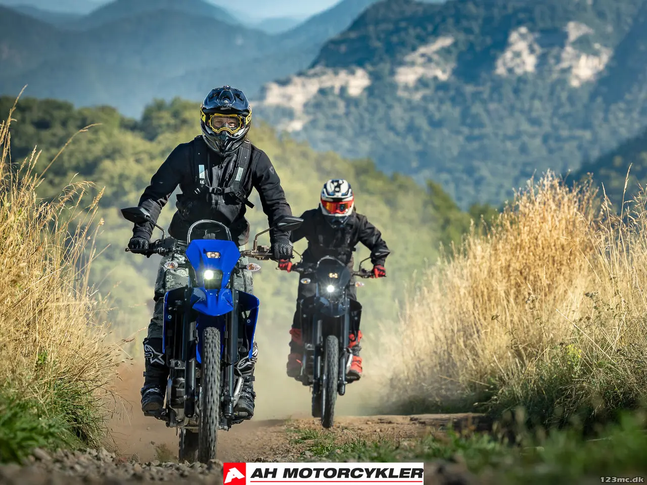 Billede 16 - Yamaha WR 125 Icon Blue