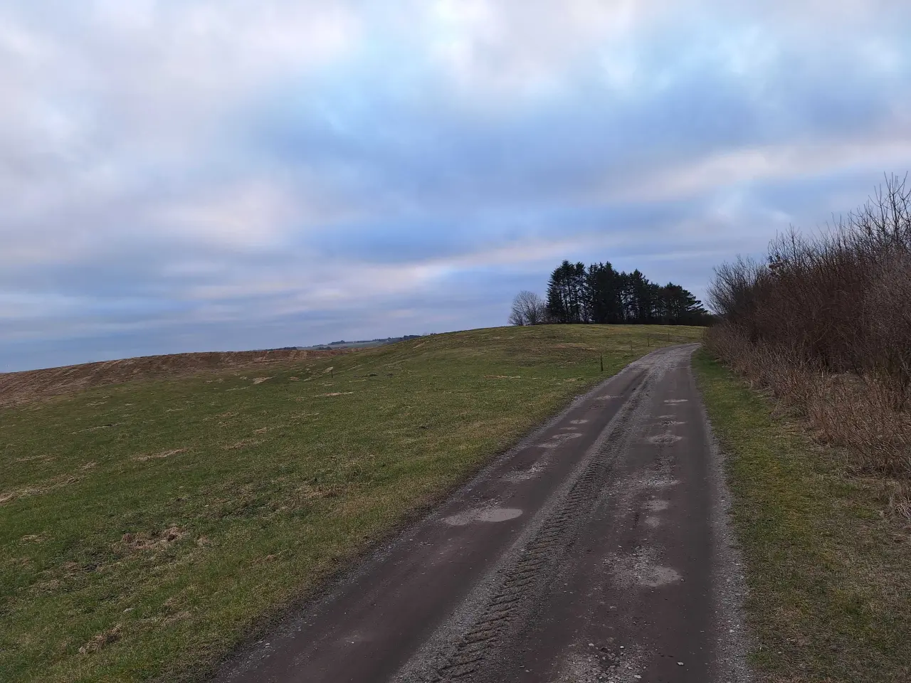 Billede 4 - 1,7 ha til afgrænsning/ wrap/ sommer fold 