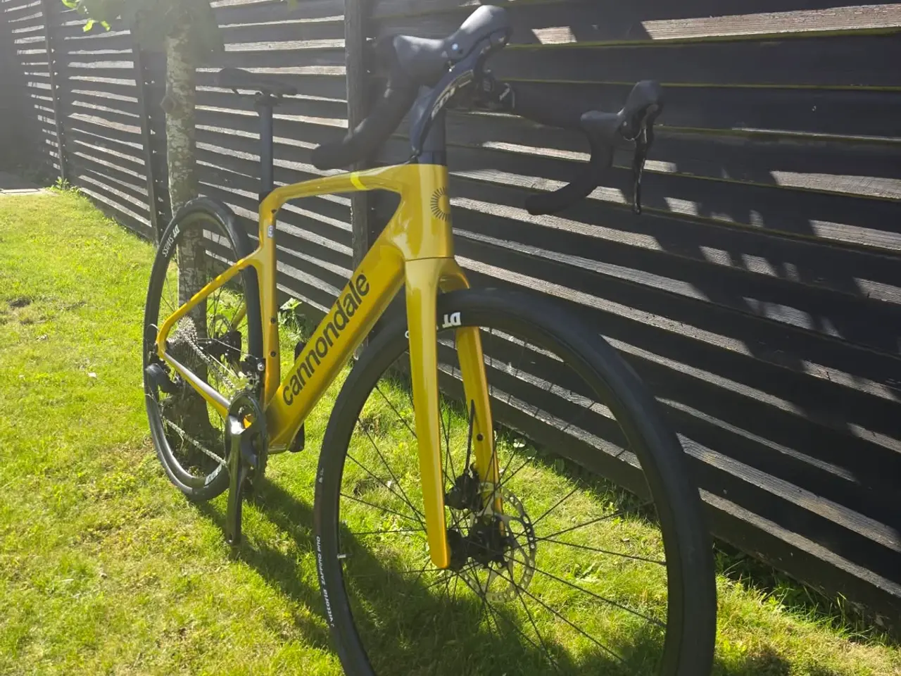 Billede 6 - Cannondale synapse carb 