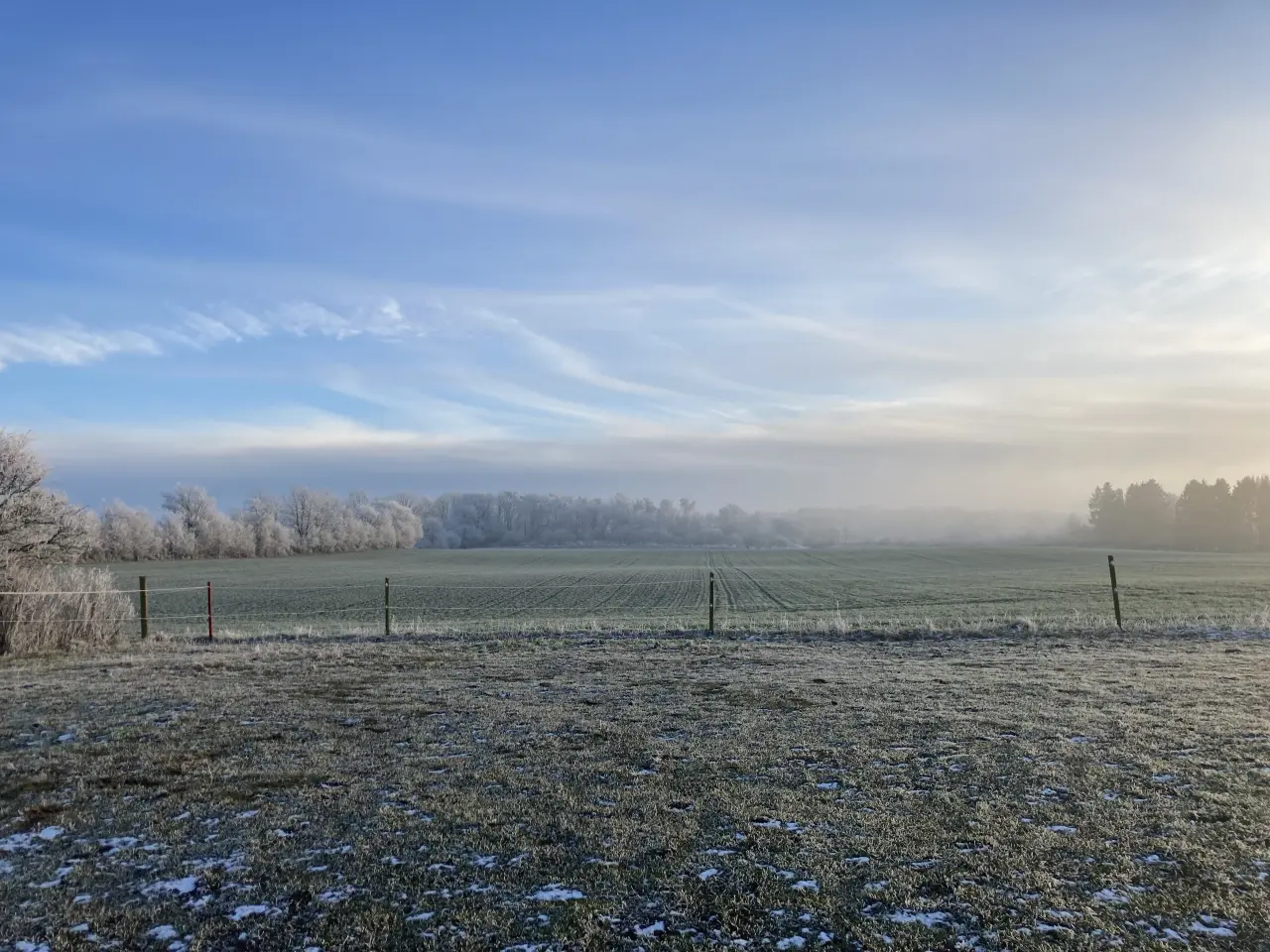 Billede 12 - Opstaldning tilbydes.Rolige og ordentlige forhold