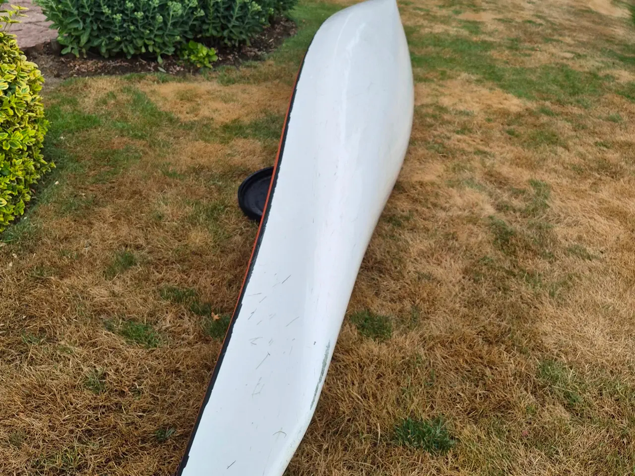 Billede 4 - Lettmann Eski 550
