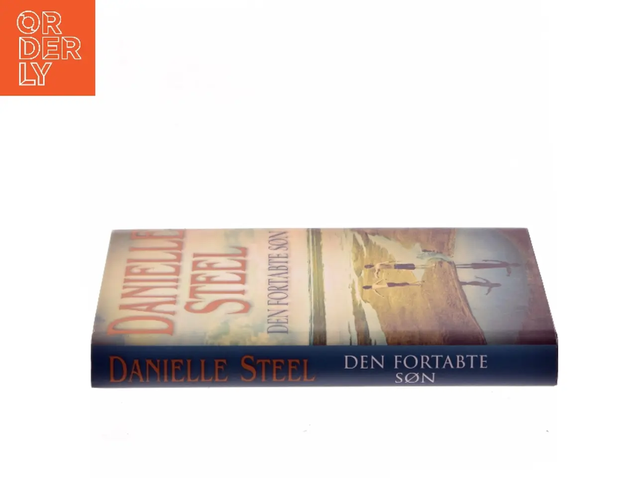 Billede 2 - Den fortabte søn af Danielle Steel (Bog)