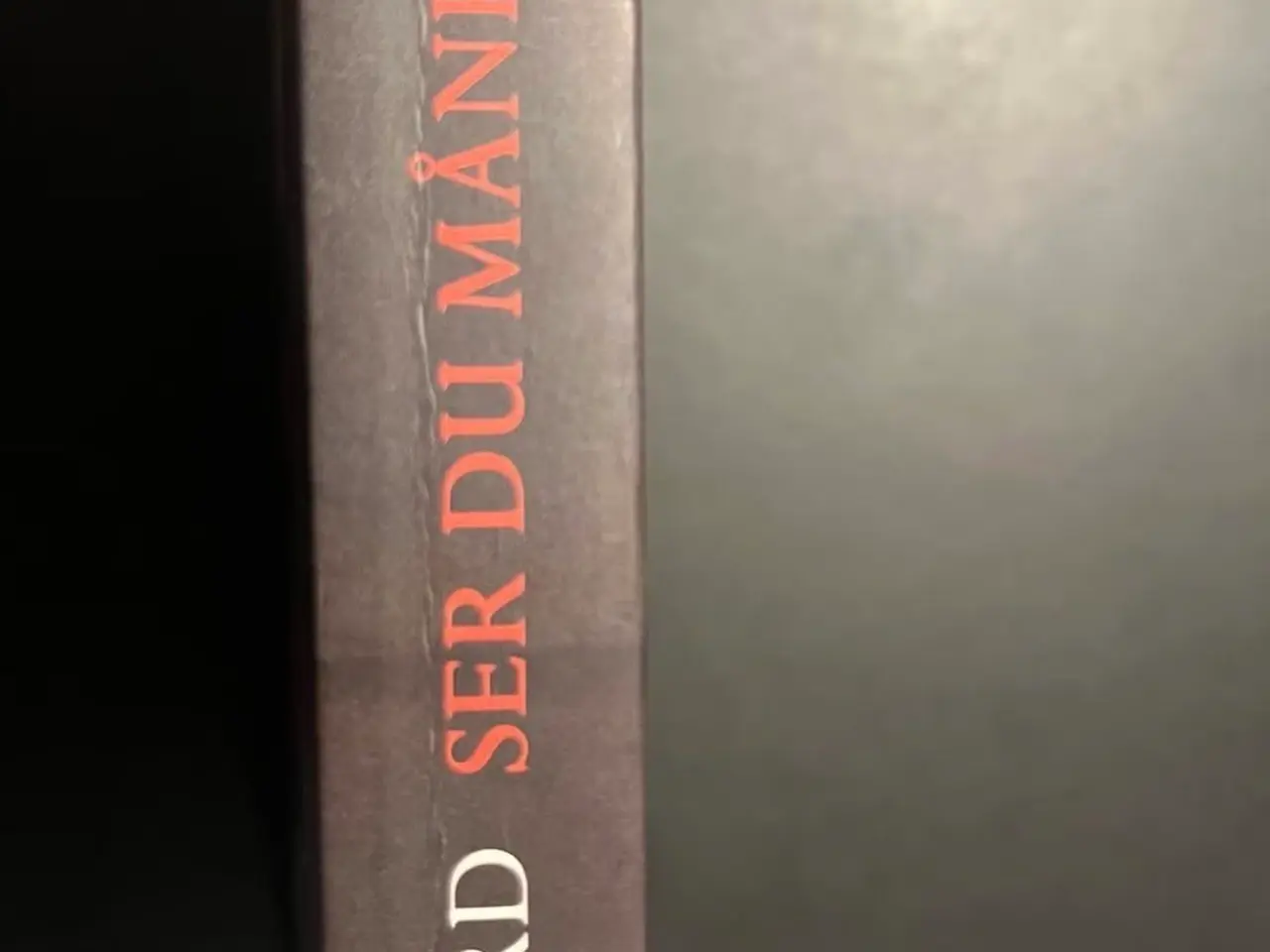 Billede 6 - Ser du månen, Daniel? af Puk Damsgård
