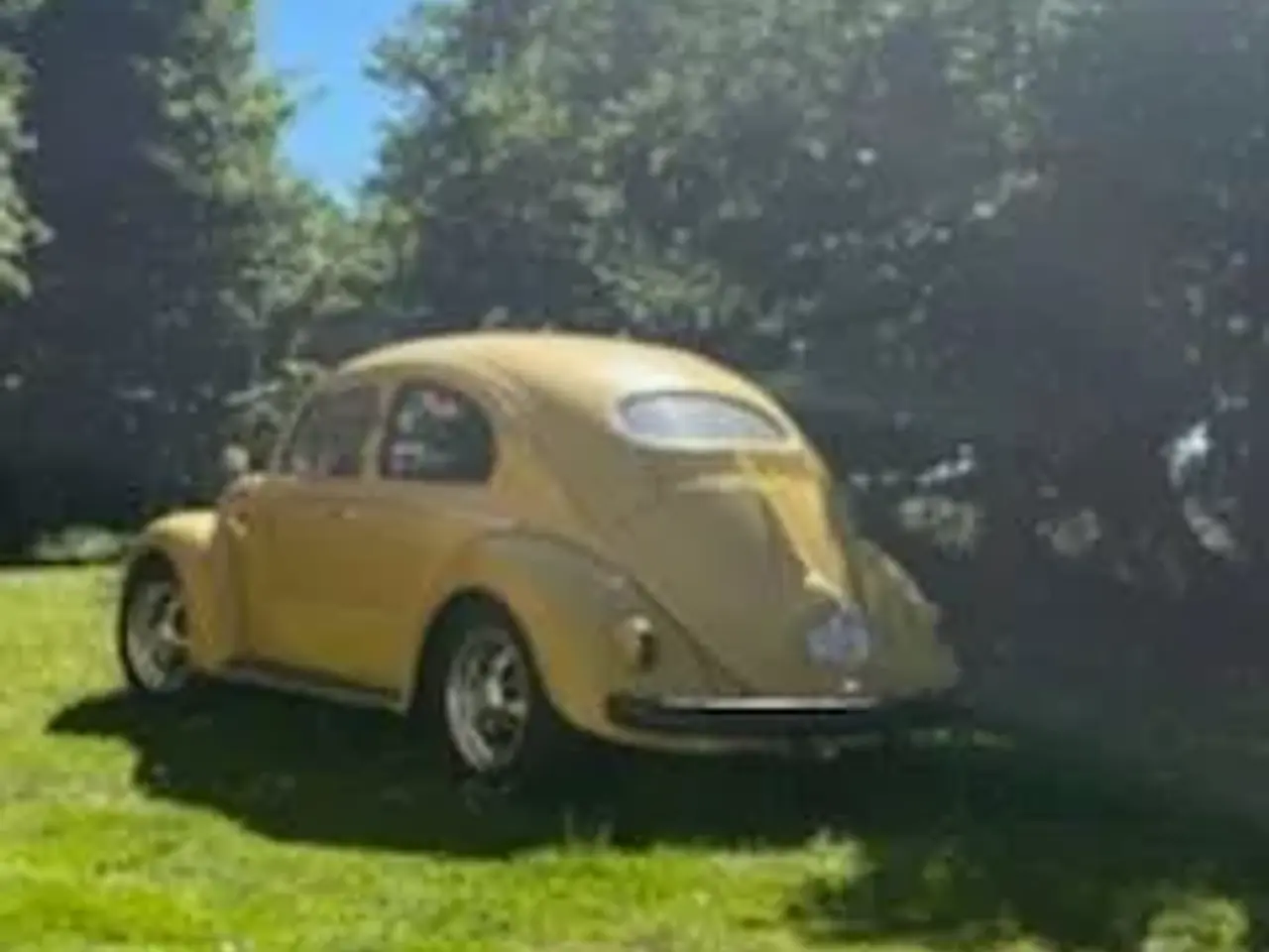 Billede 12 - 55. 113 oval