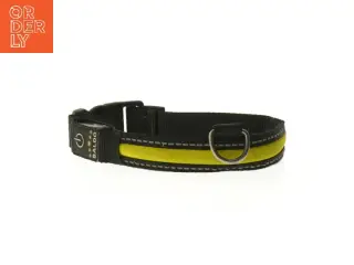 Hundehalsbånd i nylon fra Baldo (str. 45 cm)