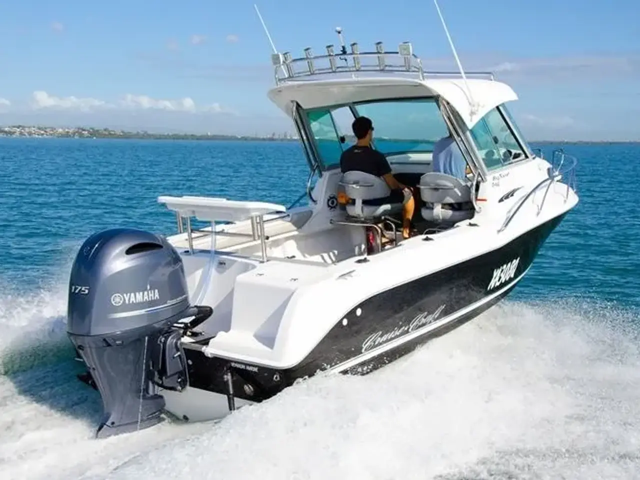 Billede 3 - Yamaha F175