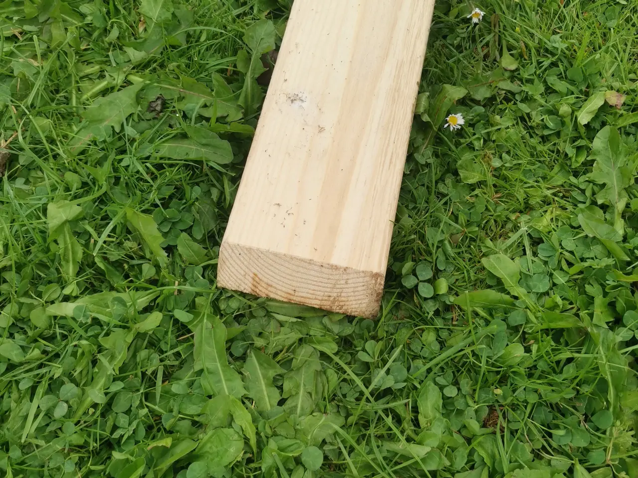 Billede 2 - Afhøvlet brædde 3 m. 10 kr ialt🌸