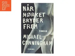 Når mørket bryder frem af Michael Cunningham (Bog)
