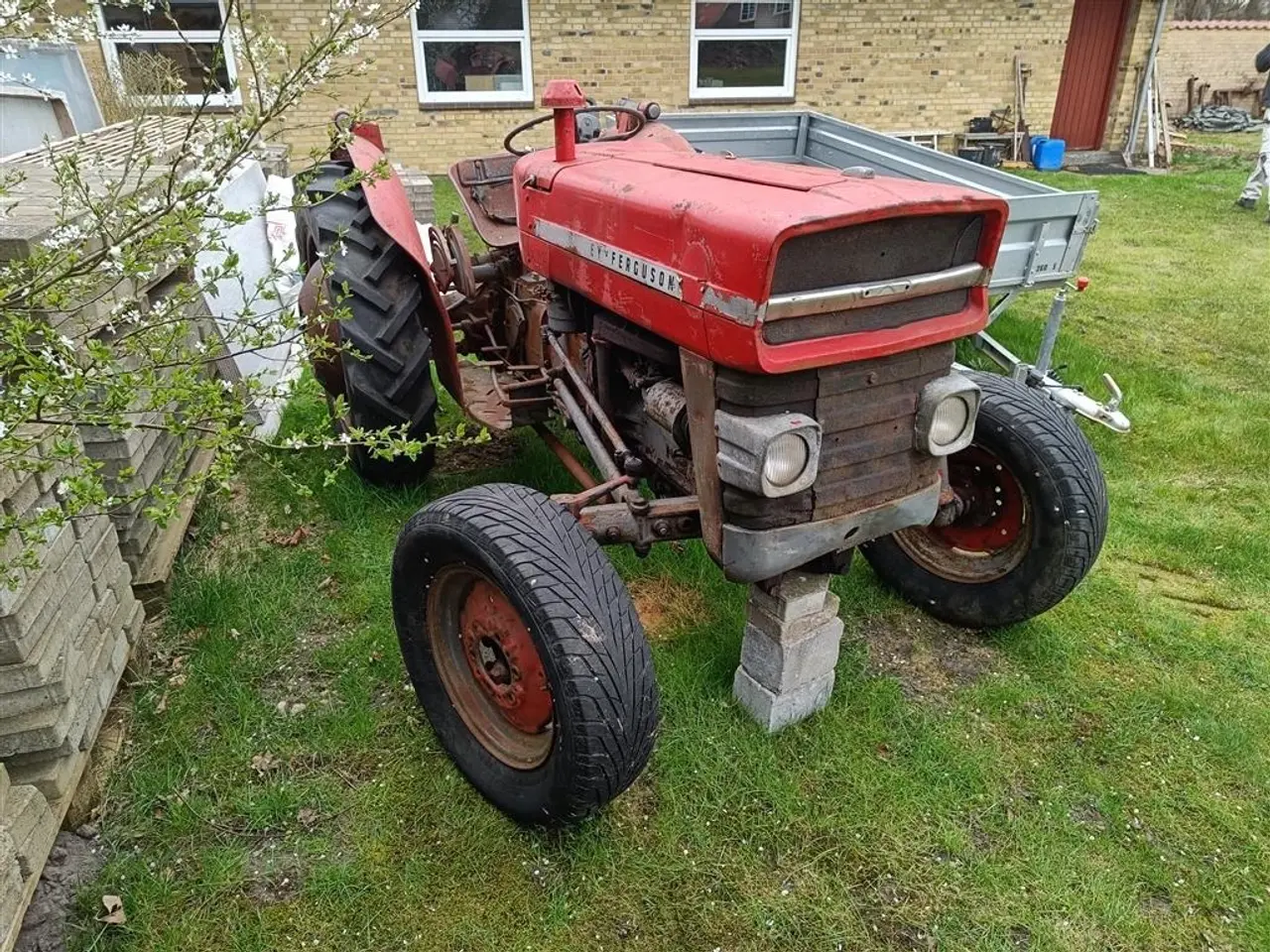 Billede 2 - Massey Ferguson 135 Benzin