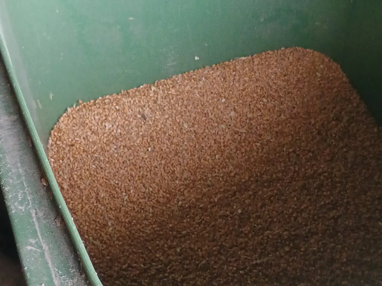 Billede 15 - Fodder/vand automater flyttesalg