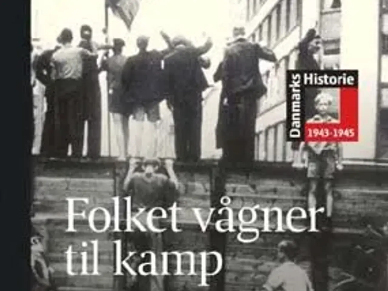 Billede 2 - Danmarks Historie