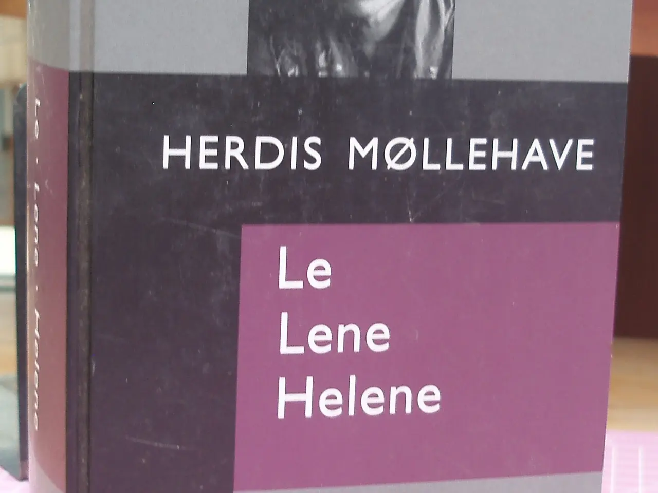 Billede 1 - Herdis Møllehave 3 i en