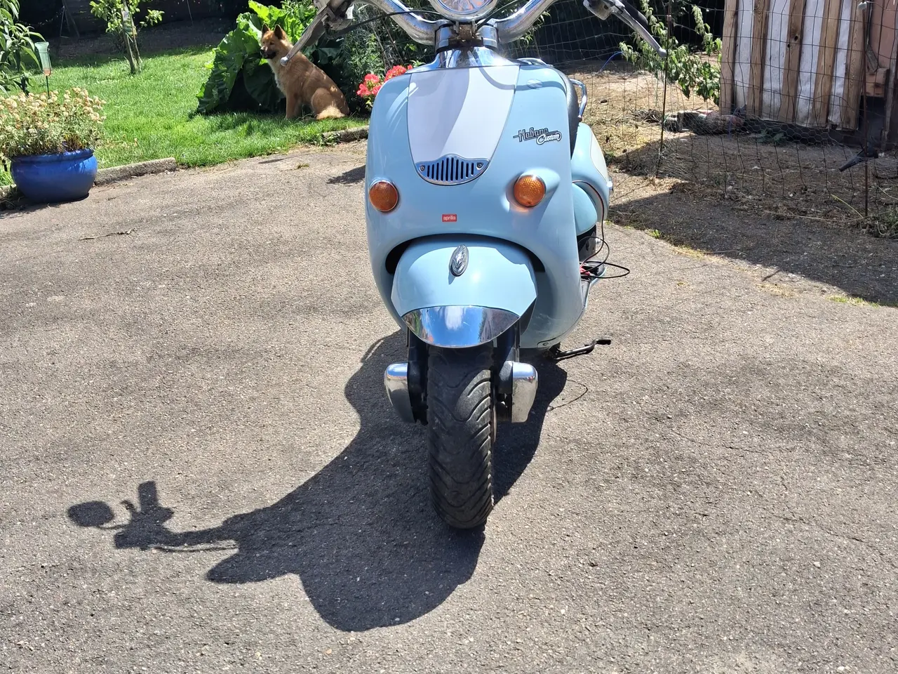 Billede 2 - Stor scooter 45'er