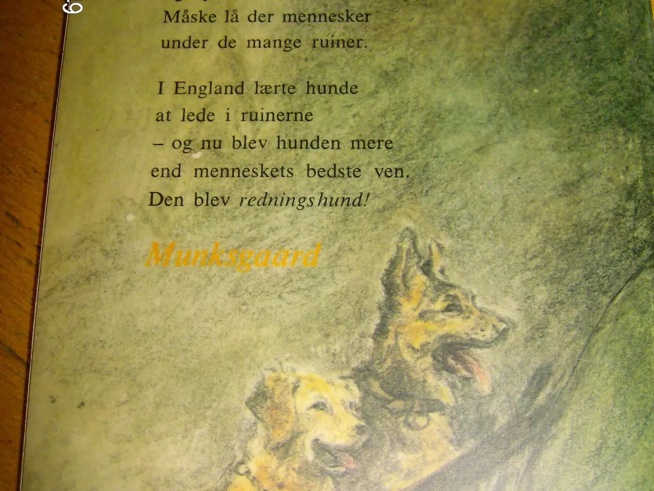 Billede 2 - Hjælp 