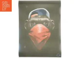 Plakat med abemotiv fra Minda Design Studio (str. 50 x 70 cm)