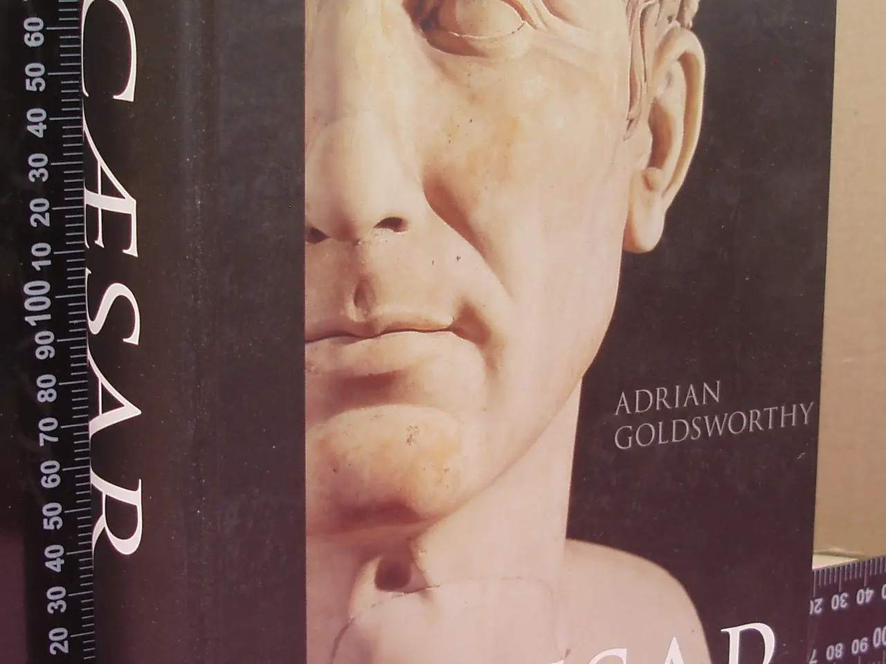 Billede 1 - Cæsar af Adrian Goldsworthy