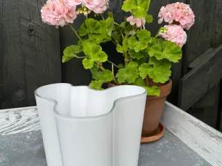 Aalto Vase - Littala