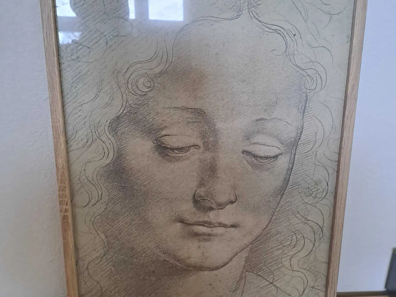 Billede 1 - Leonardo da Vinci - "Kvindeansigtet" i