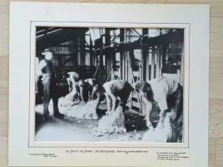 2 sjove historiske fotoprints fra Australien I sor