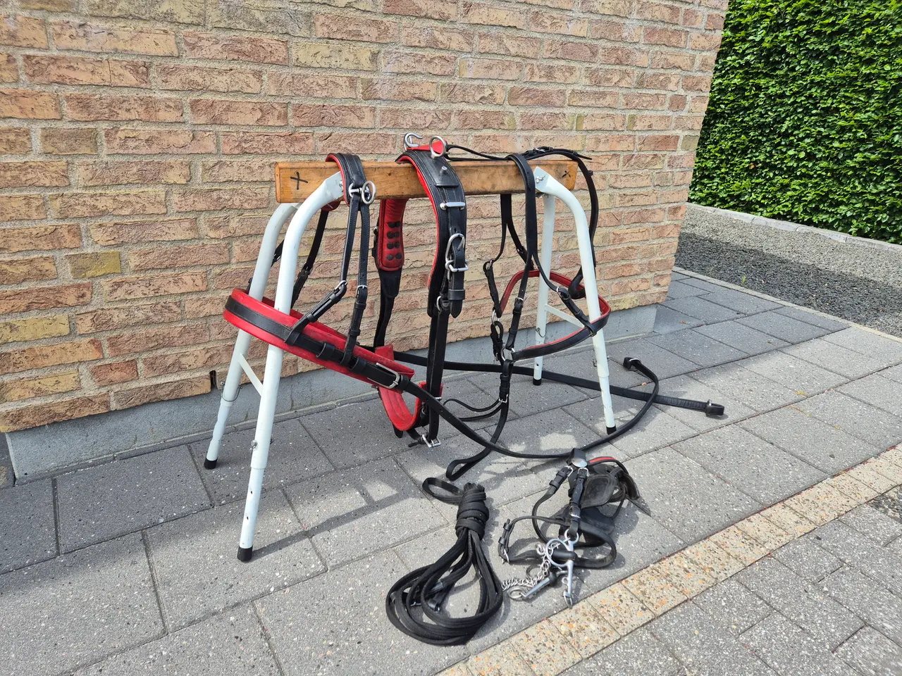 Billede 1 - Pony saletsele (shetl)