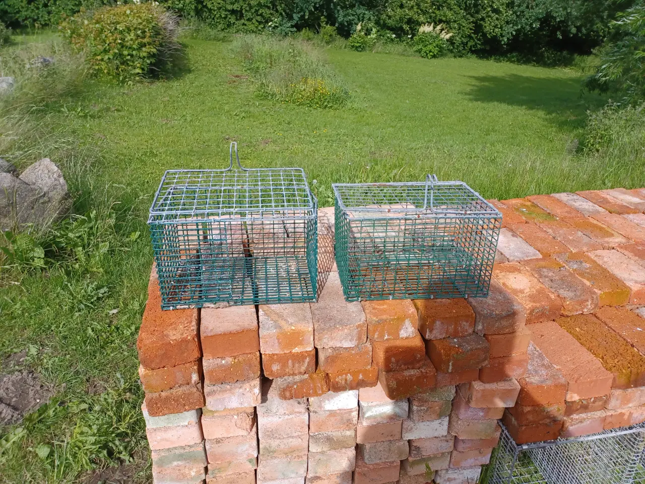 Billede 1 - Minkruser/ redekasser / bure