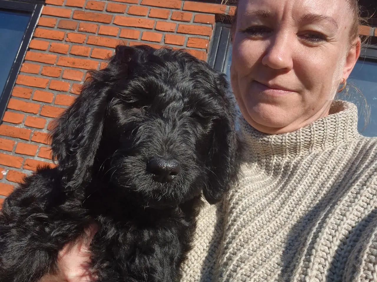 Billede 3 - F1B Labradoodle 