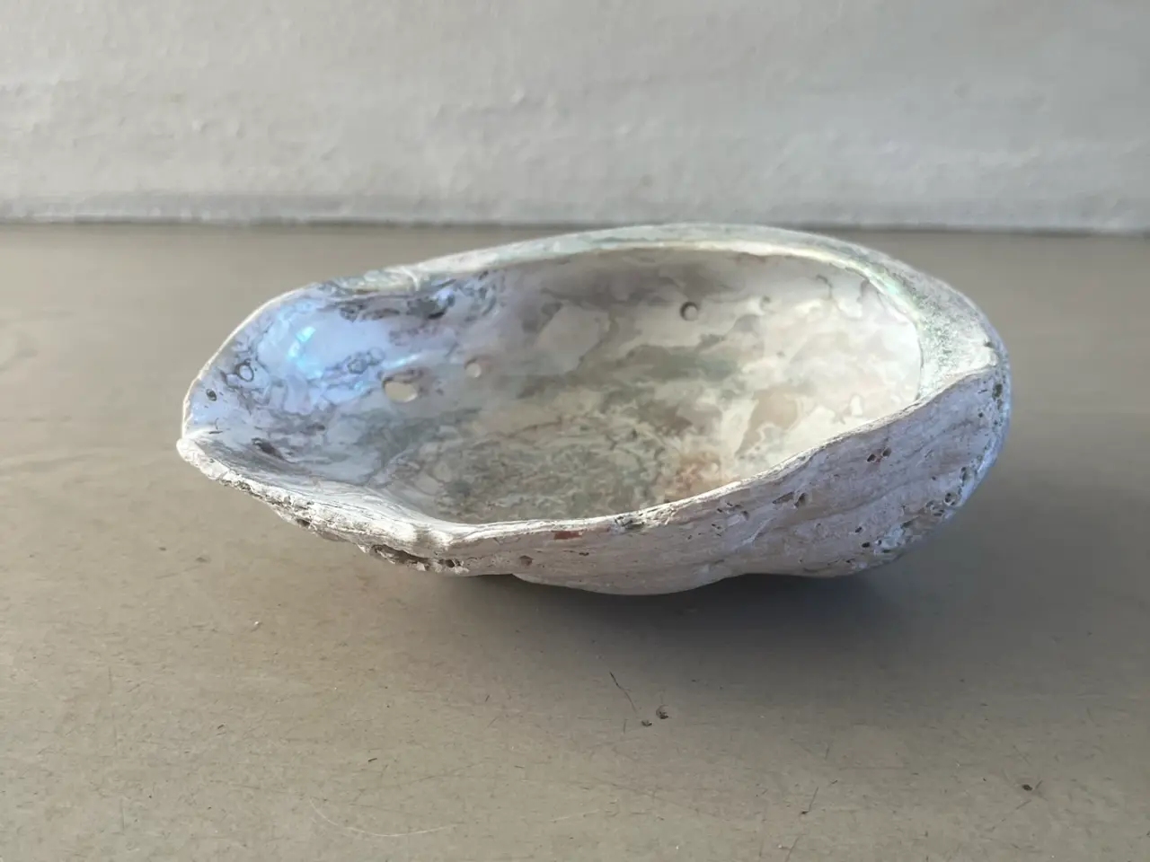 Billede 1 - Abalone skal