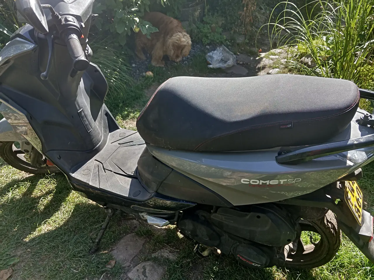 Billede 3 - comet sp 30km/t
