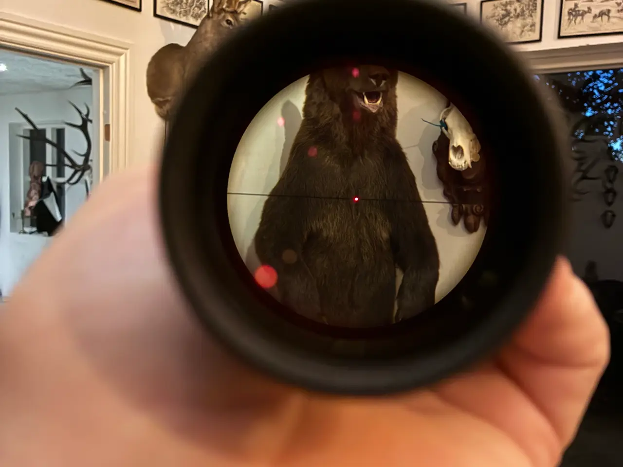 Billede 7 - Zeiss V8 1.1-8x24 med skinne og lys