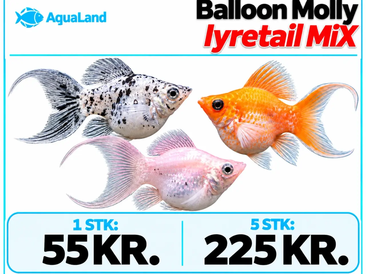 Billede 2 - Flotte balloon Molly Lyretail