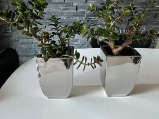 2 stk stueplanter