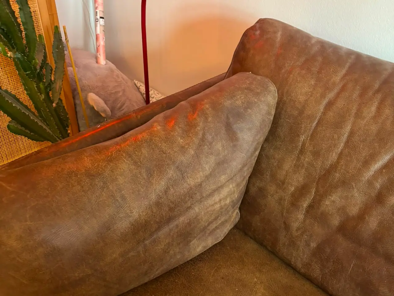 Billede 4 - Campo & Co. Biga 3½-pers. lædersofa