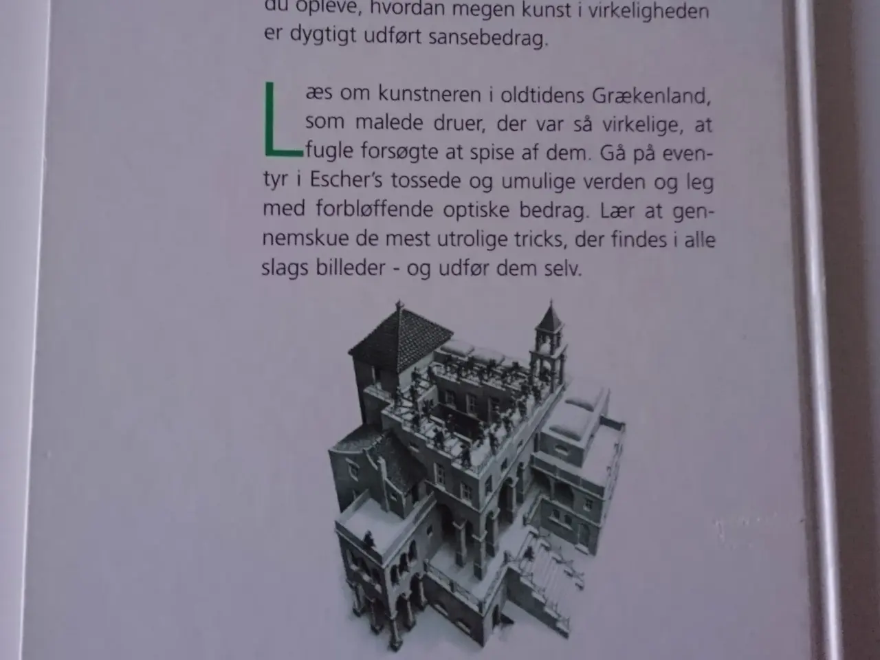 Billede 2 - Magien i kunsten. Af Alexander Sturgis
