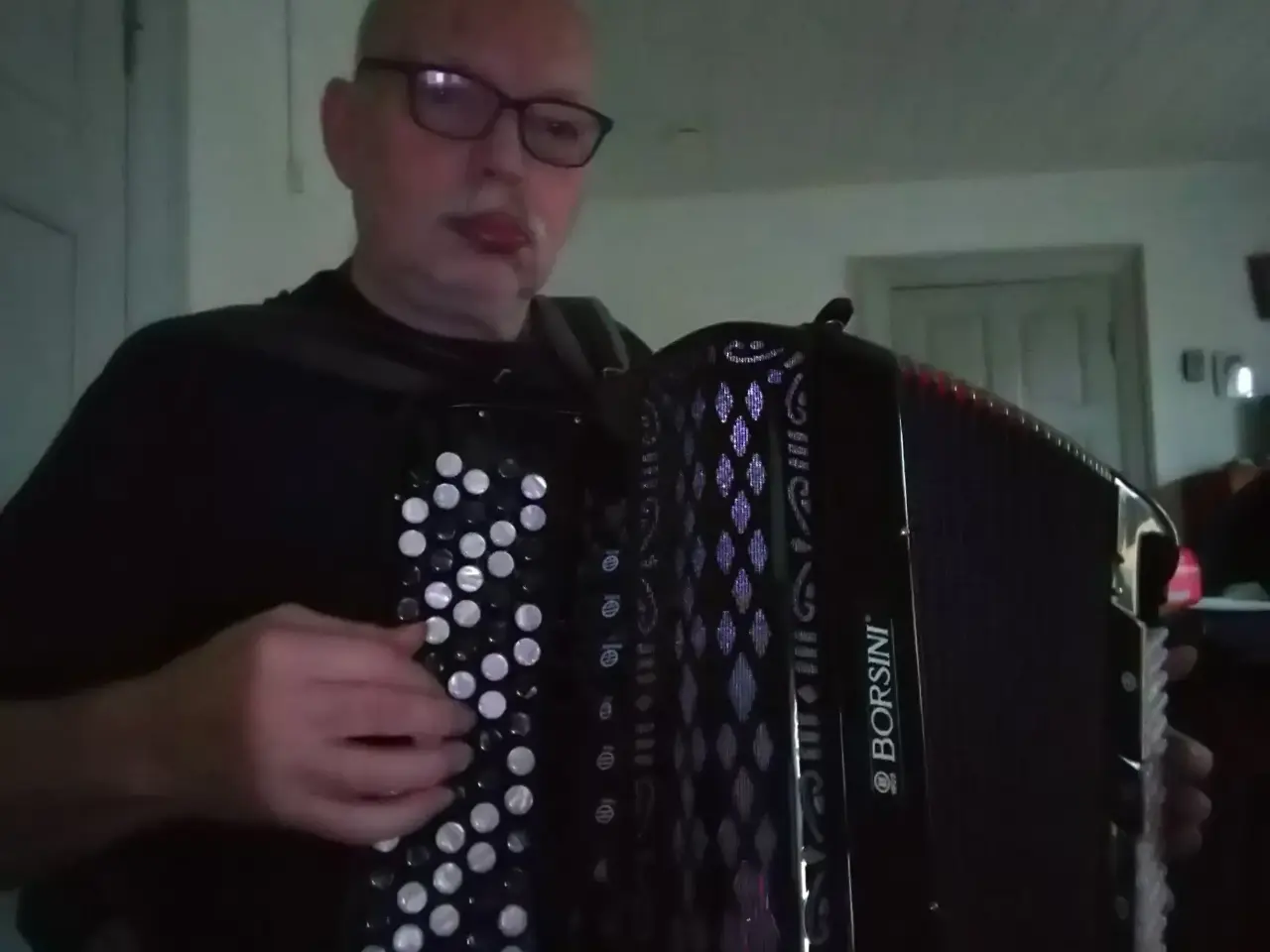 Billede 2 - Harmonika BORSDINI med transporttaske