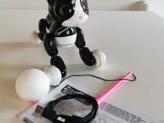 Zoomer Kitty