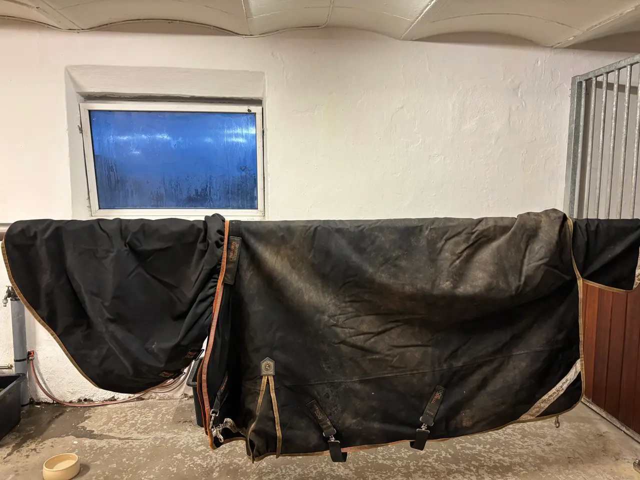 Billede 8 - Masser af Rideudstyr sælges