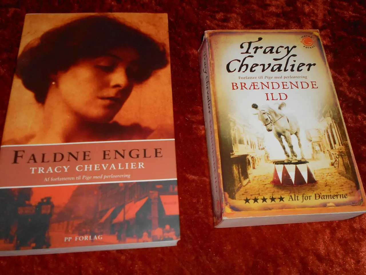 Billede 1 - Remarkable creatures m.fl, Tracy Chevalier