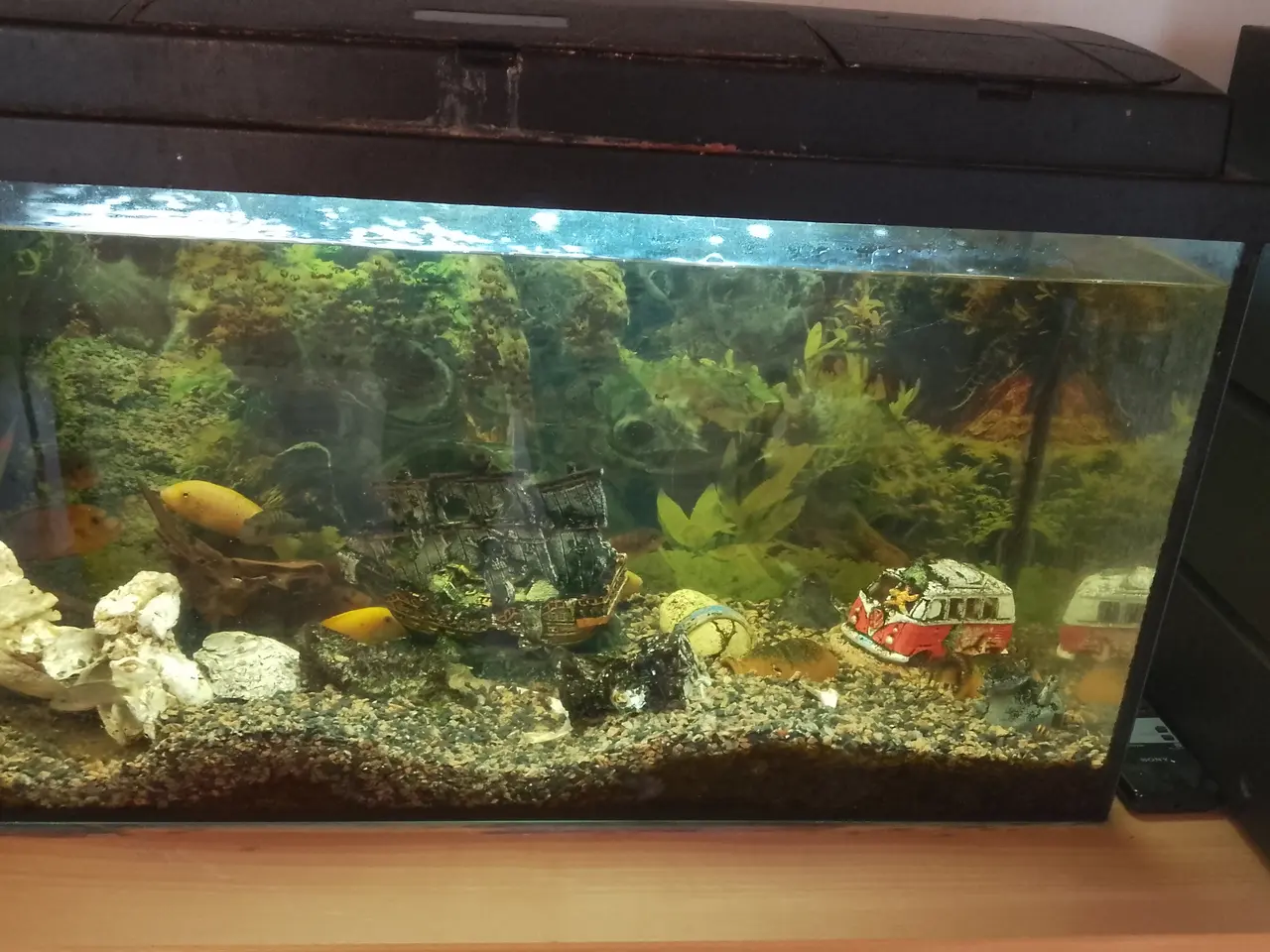 Billede 1 - 110 l akvarie med alt tilbehør