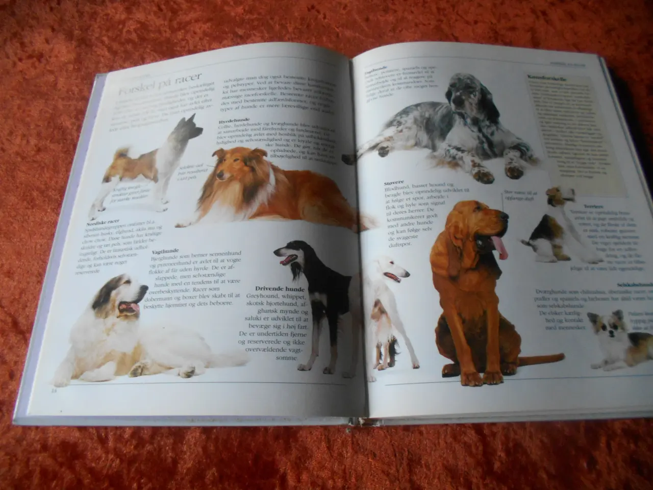 Billede 4 - Håndbog i hundeopdragelse, Bruce Fogle