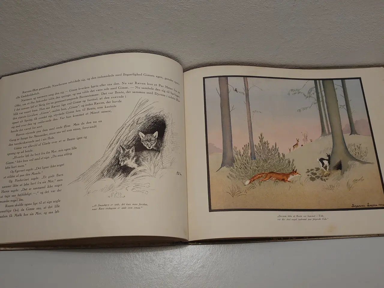 Billede 4 - Suzanne Lassen: Bente og Skovens Dyr. 1936.4 opl.