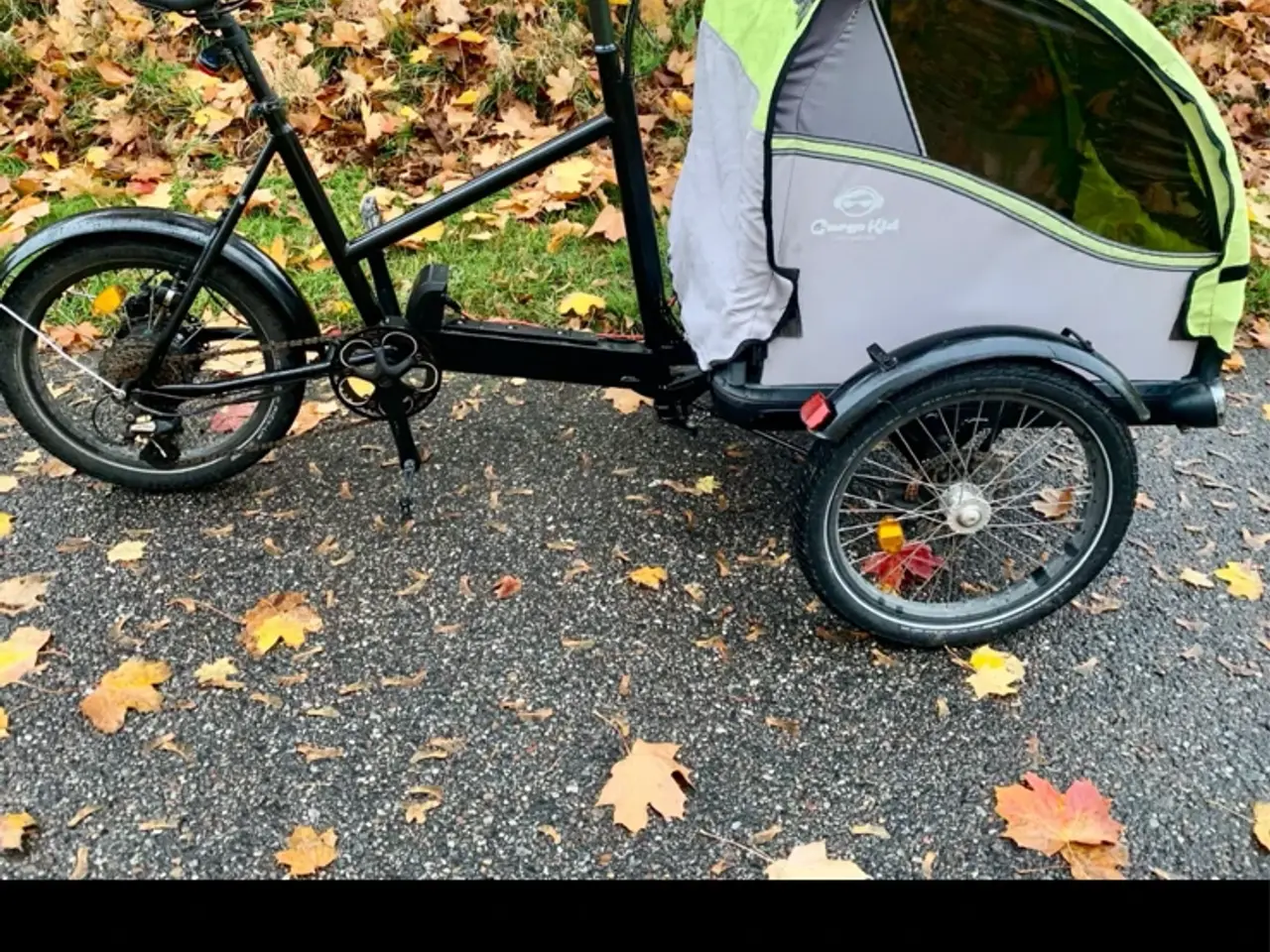 Billede 1 - Cargokid ladcykel med el
