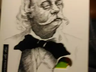 Bog om Flauberts Madame Bovary.