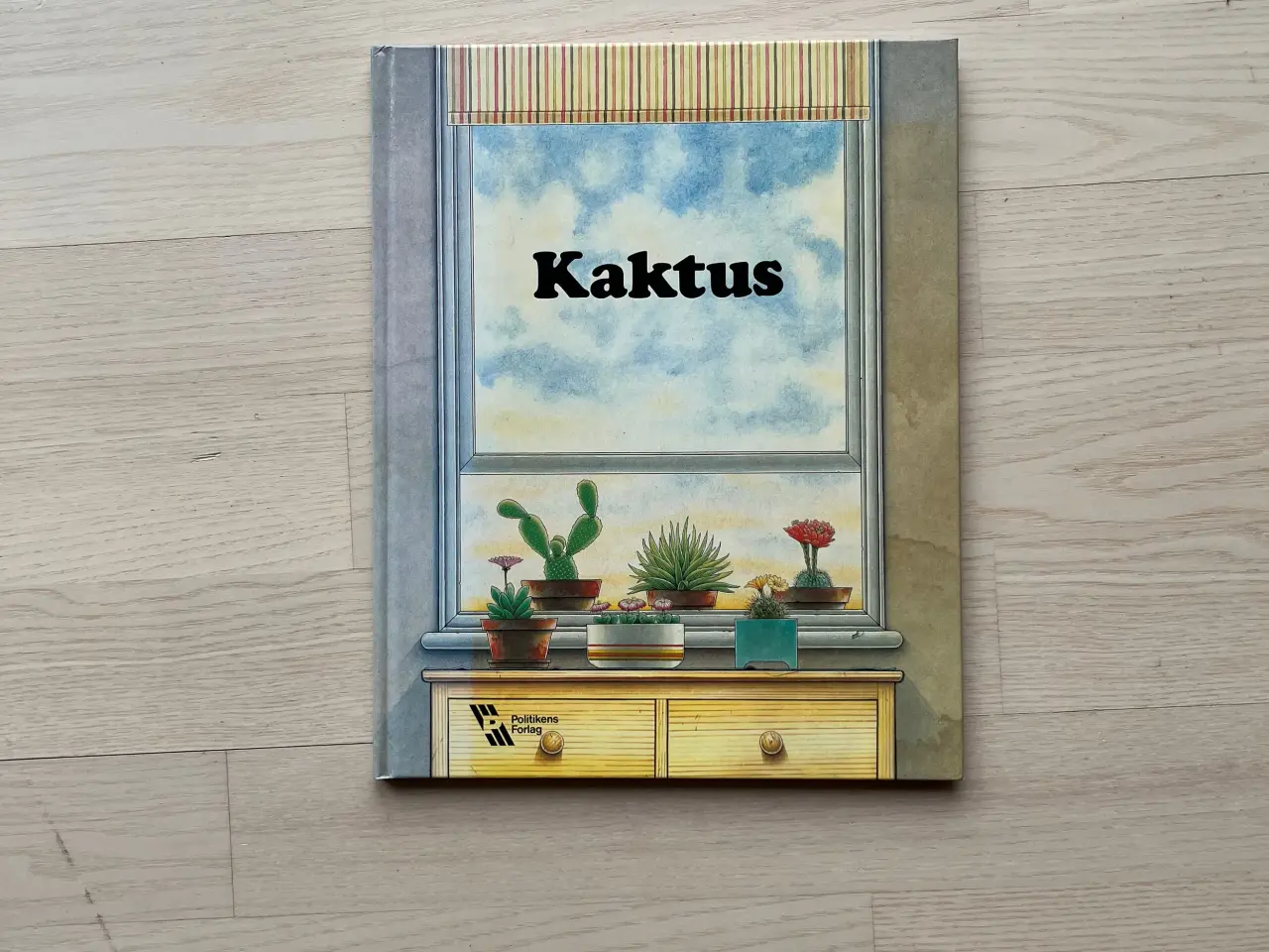 Billede 1 - Kaktus