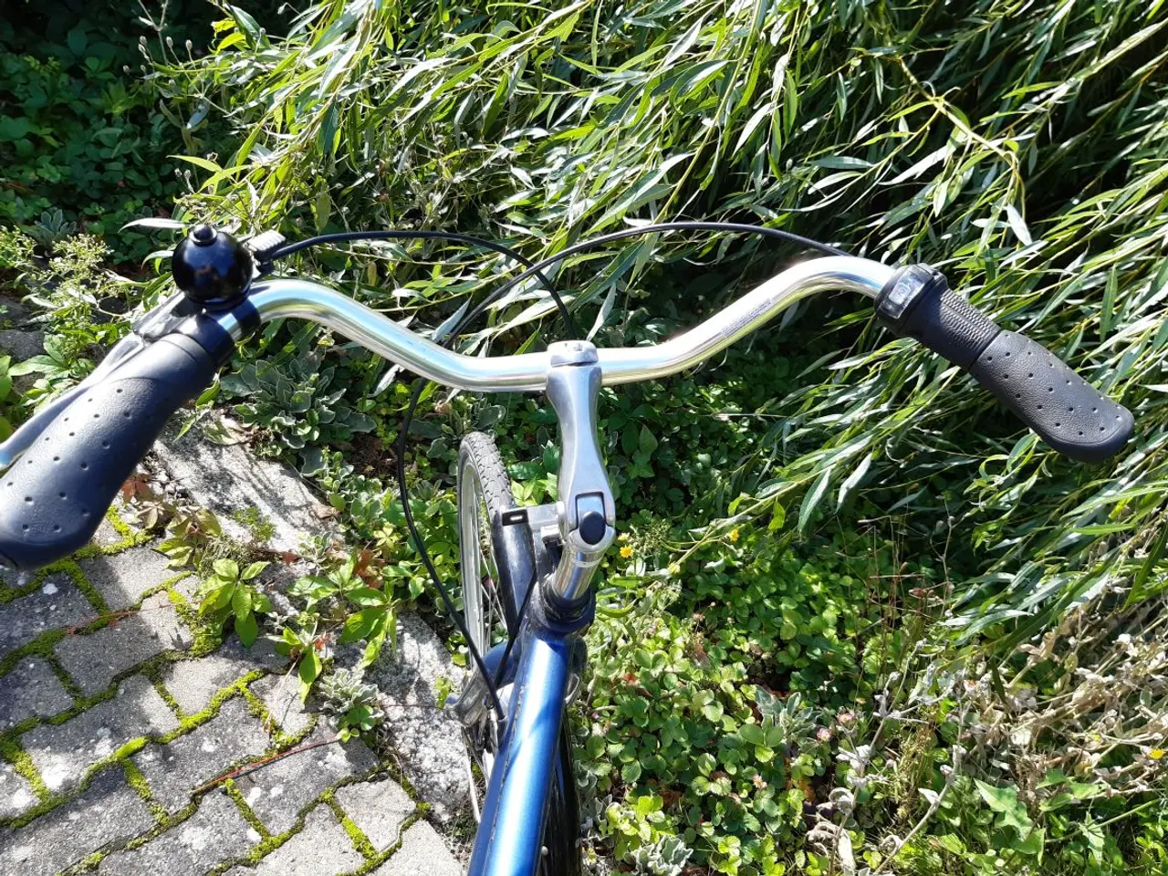 Billede 2 - Herrecykel MBK Classic i blåmetal