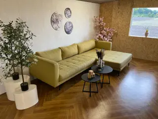 Gul Cali sofa - renset