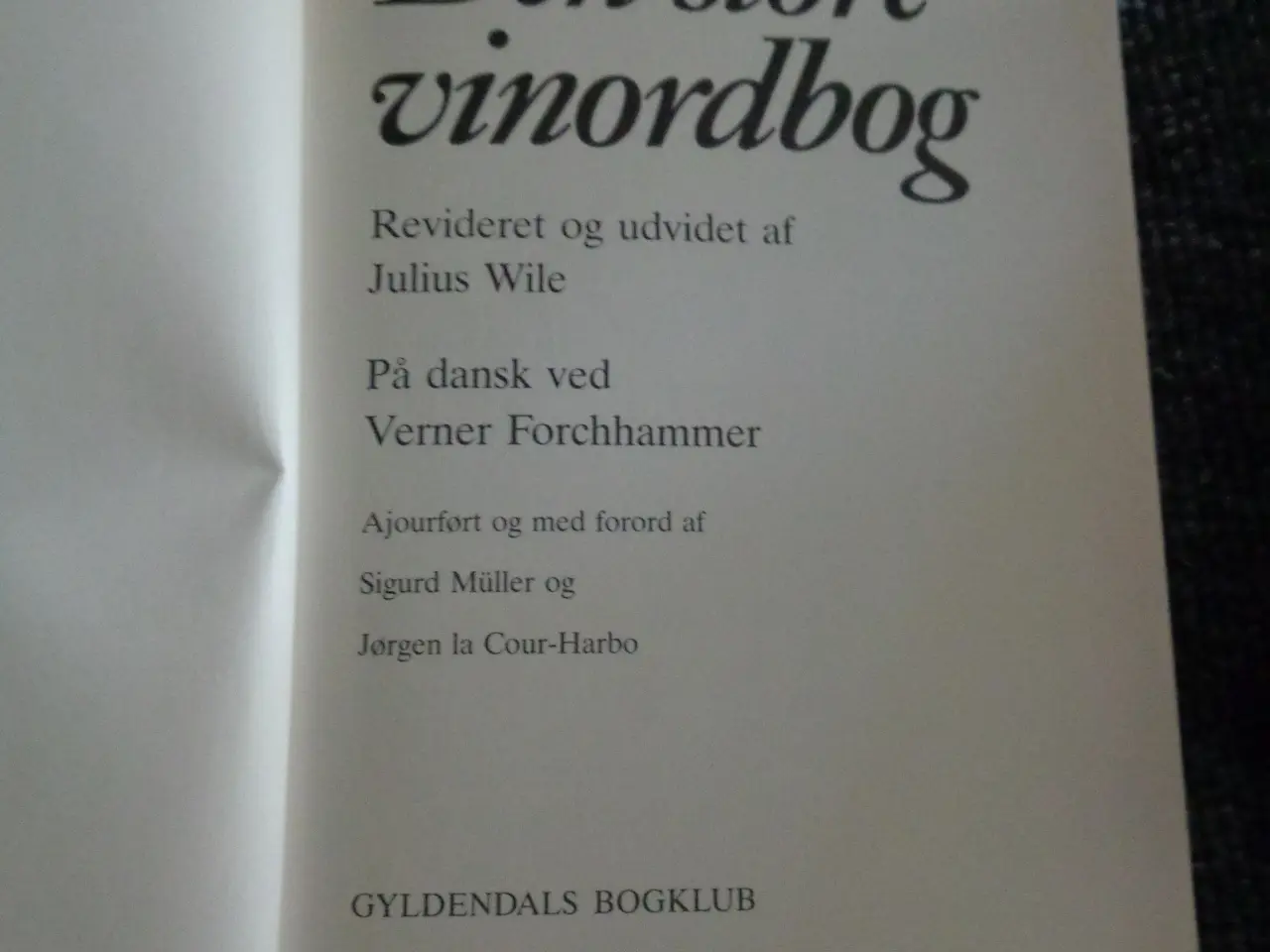 Billede 2 - Den store vin ordbog